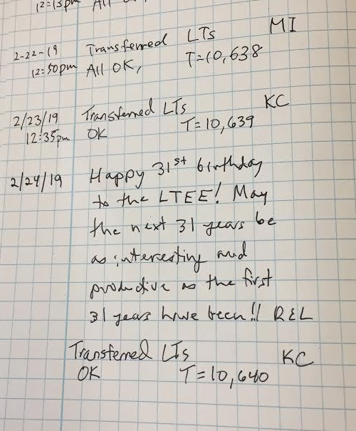 LTEE notebook on 31st birthday